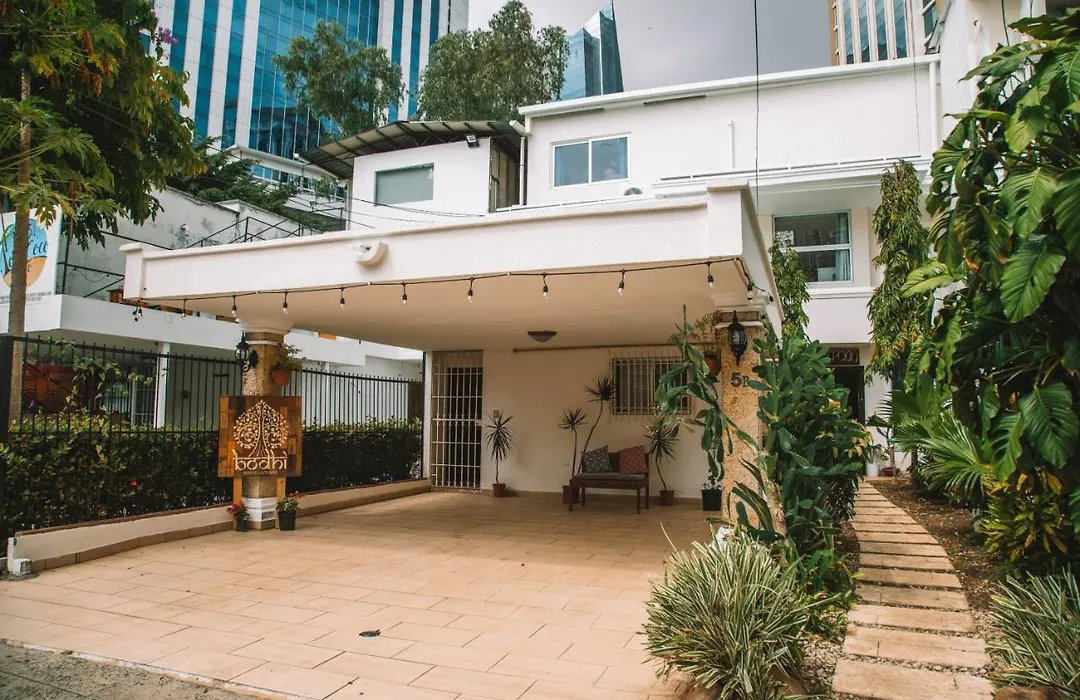 Bodhi Panama City-1